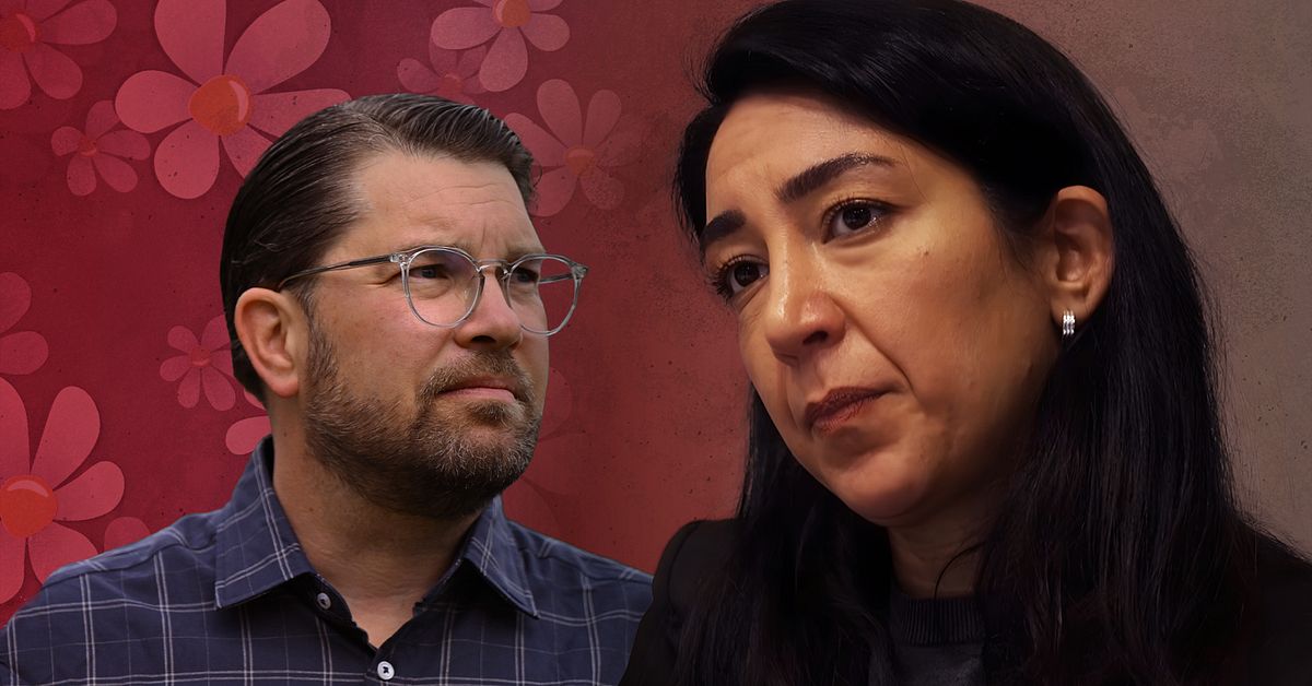 Lawen Redar (S): SD ser inte mig som svensk eller likv&auml;rdig