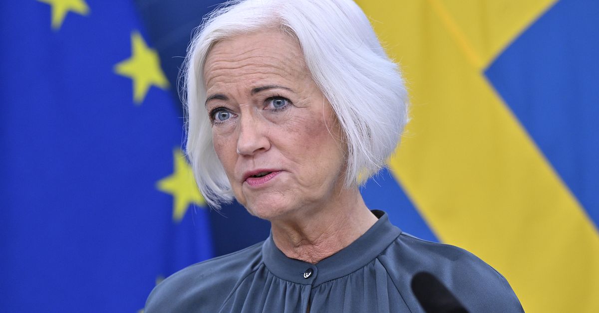 Sjukvårdsministern: Vårdens sommarbemanning ska bli mer effektiv