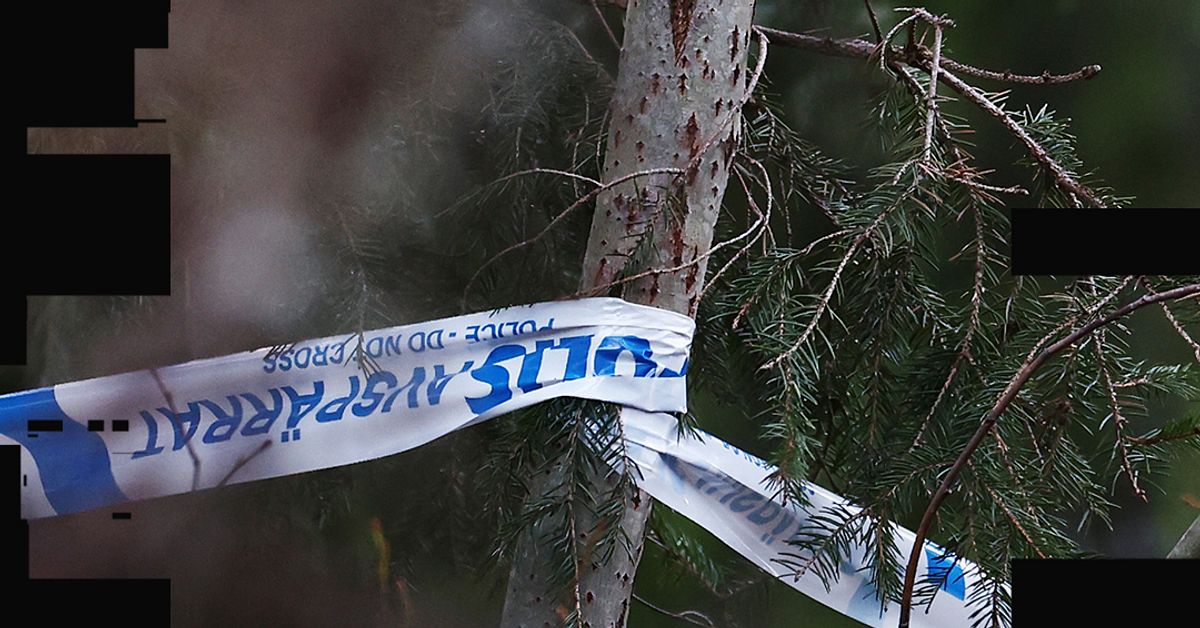 En person beg&auml;rd h&auml;ktad f&ouml;r grov v&aring;ldt&auml;kt mot barn i J&auml;rf&auml;lla