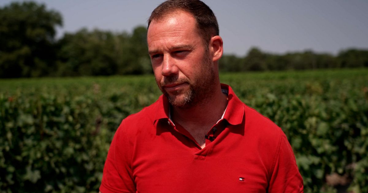 Branden hotar Bordeaux &ndash; men vinodlarna oroar sig mer f&ouml;r klimatet