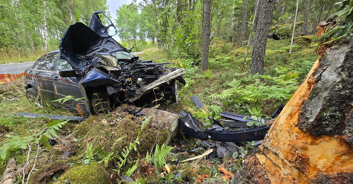 V&aring;ldsam singelolycka utanf&ouml;r Str&auml;ngn&auml;s &ndash; en person till sjukhus