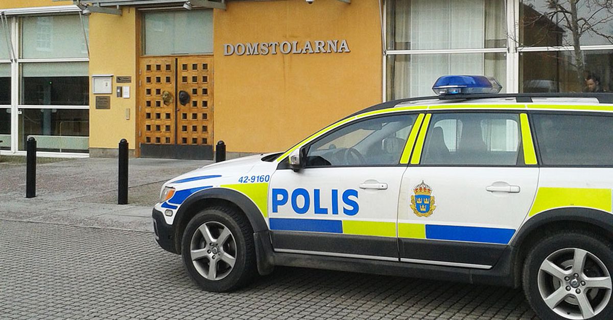 Bidragsbrott: Dans på fest kan  ha avslöjat fuskande familj