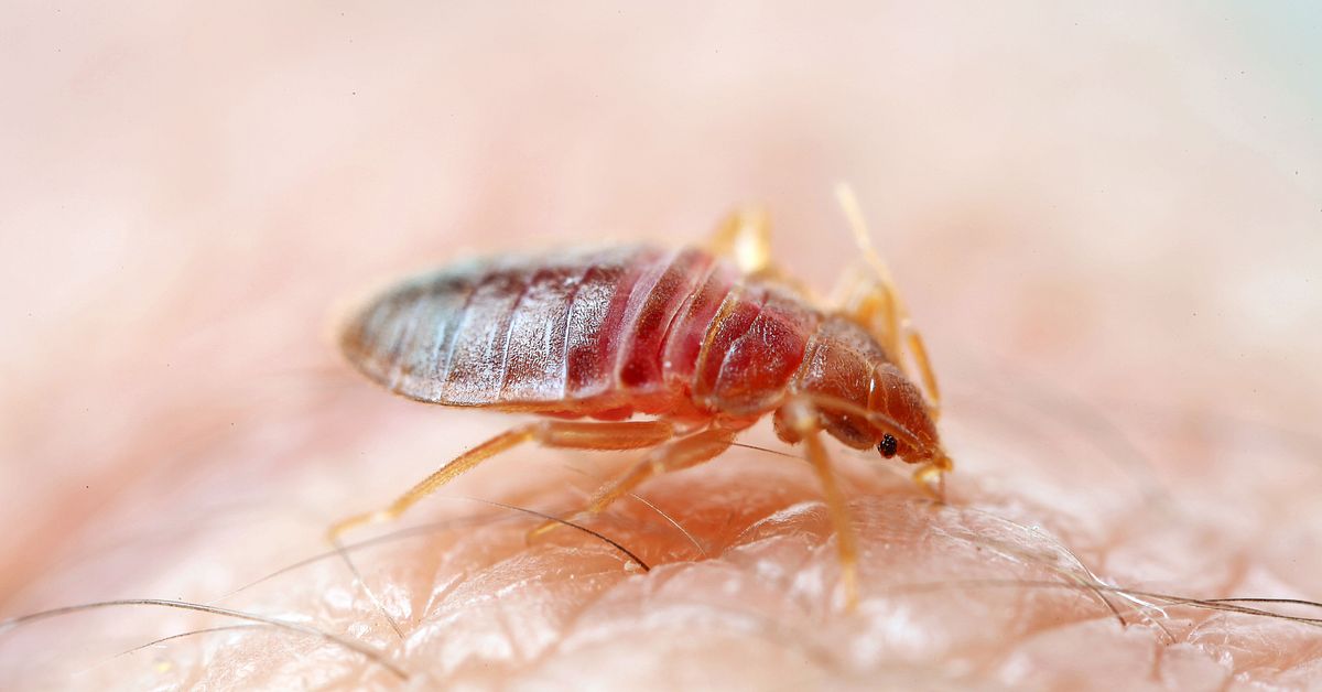 V&auml;ggl&ouml;ss st&auml;ngde hela kulturhuset i Haninge