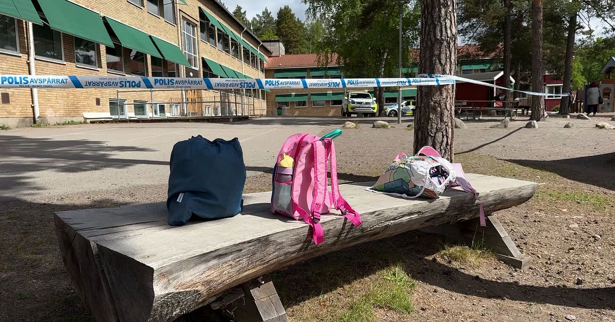 Tonårsflicka döms till rättspsykiatrisk vård efter knivattack på skola i Nybro