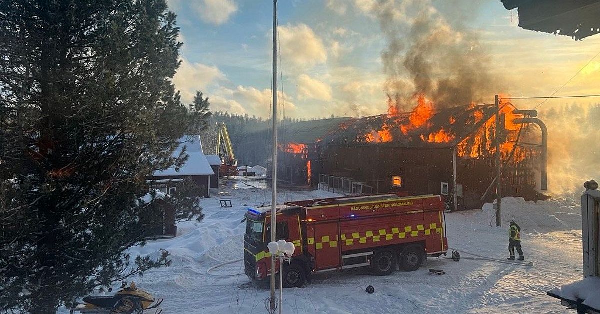 Ladug&aring;rd i Gr&auml;smyr brann &ndash; 15 djur d&ouml;da: &rdquo;Mardr&ouml;m&rdquo;