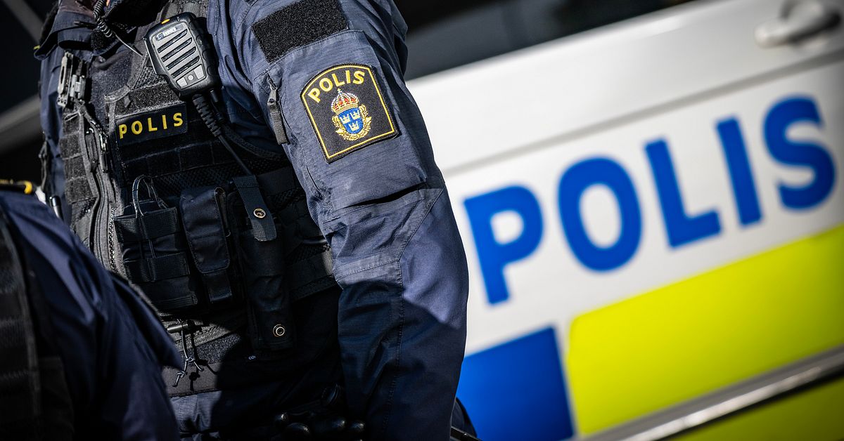 Ytterligare tv&aring; svenskar p&aring; Europol-lista