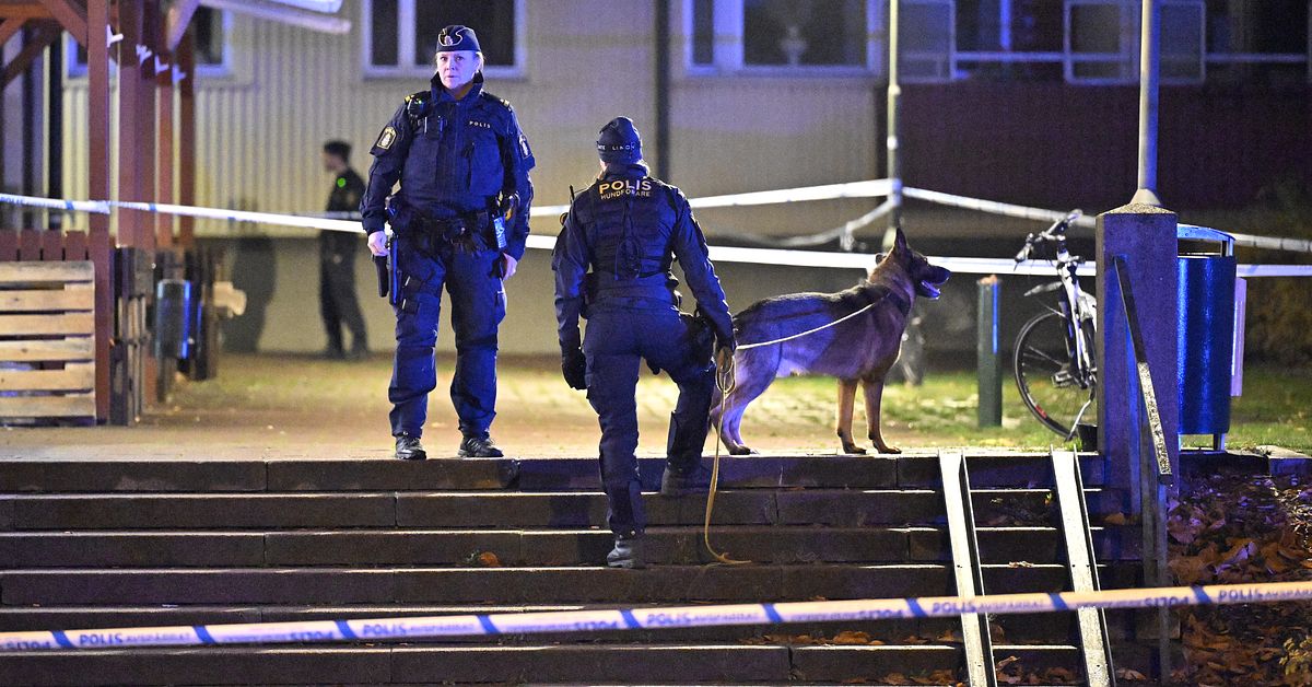 Livstid f&ouml;r d&ouml;dsskjutning vid Kattarpstorget i Malm&ouml;