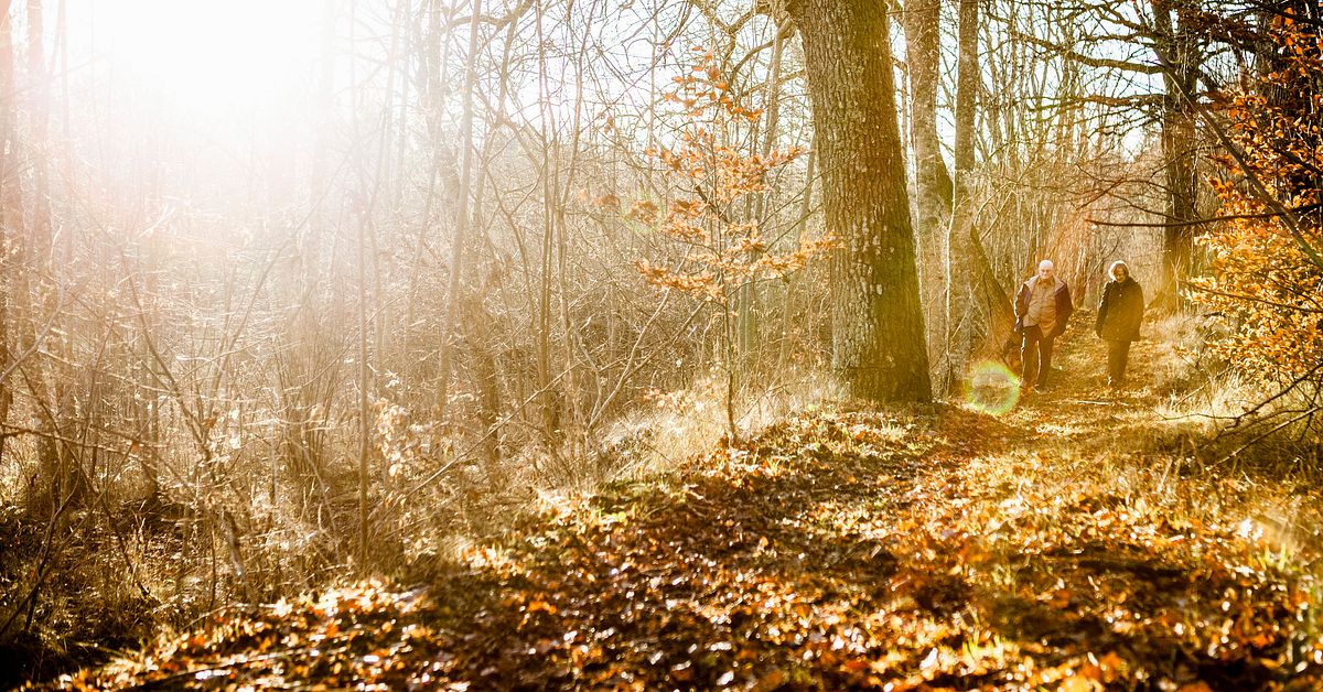 Sol i hela Sverige &ndash; p&aring; &aring;rets m&ouml;rkaste dag