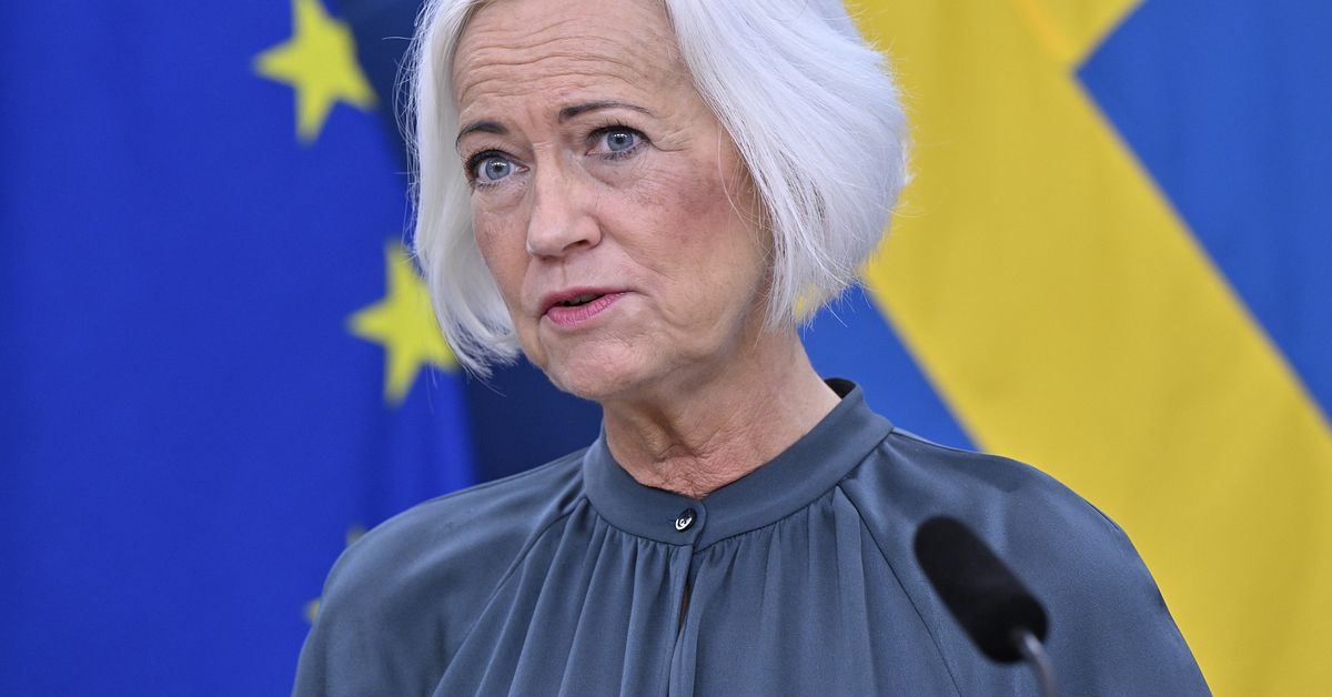 Ankarberg Johansson ny landshövding i Västmanland