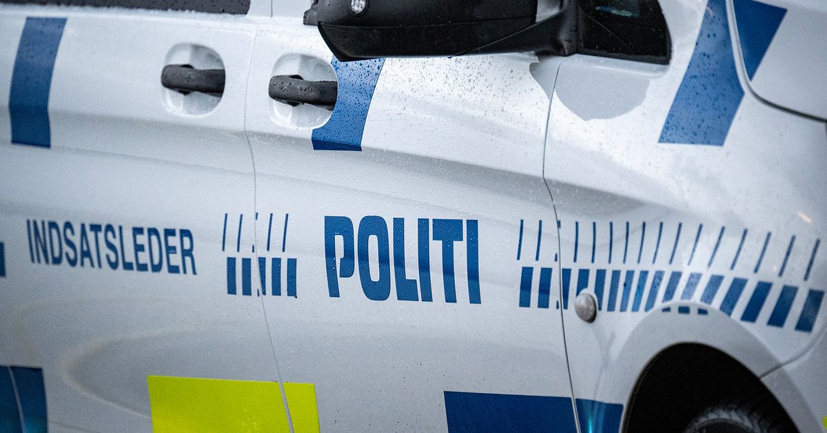 Svensk ton&aring;rsflicka erk&auml;nner mordf&ouml;rs&ouml;k i Danmark