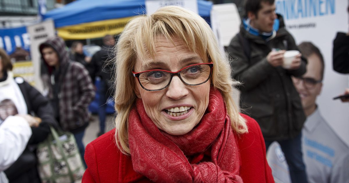 Finsk toppolitiker f&auml;lls f&ouml;r hets mot homosexuella