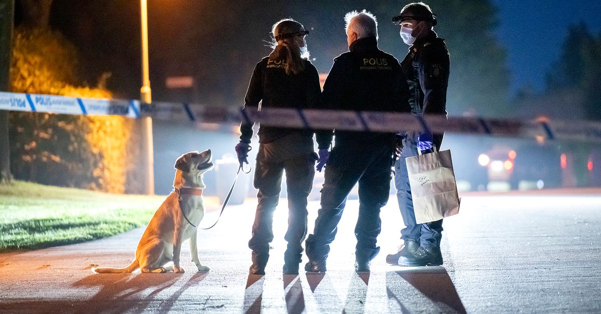 Pojke friades för medhjälp till mord – överklagas