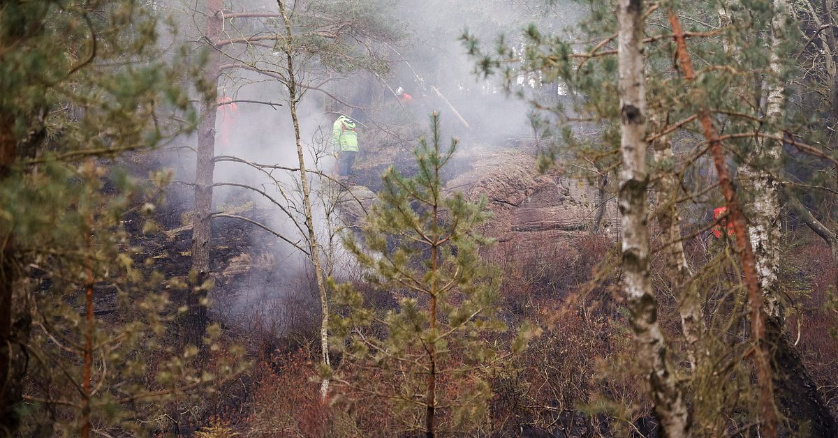 SMHI: Risk f&ouml;r gr&auml;s- och skogsbr&auml;nder