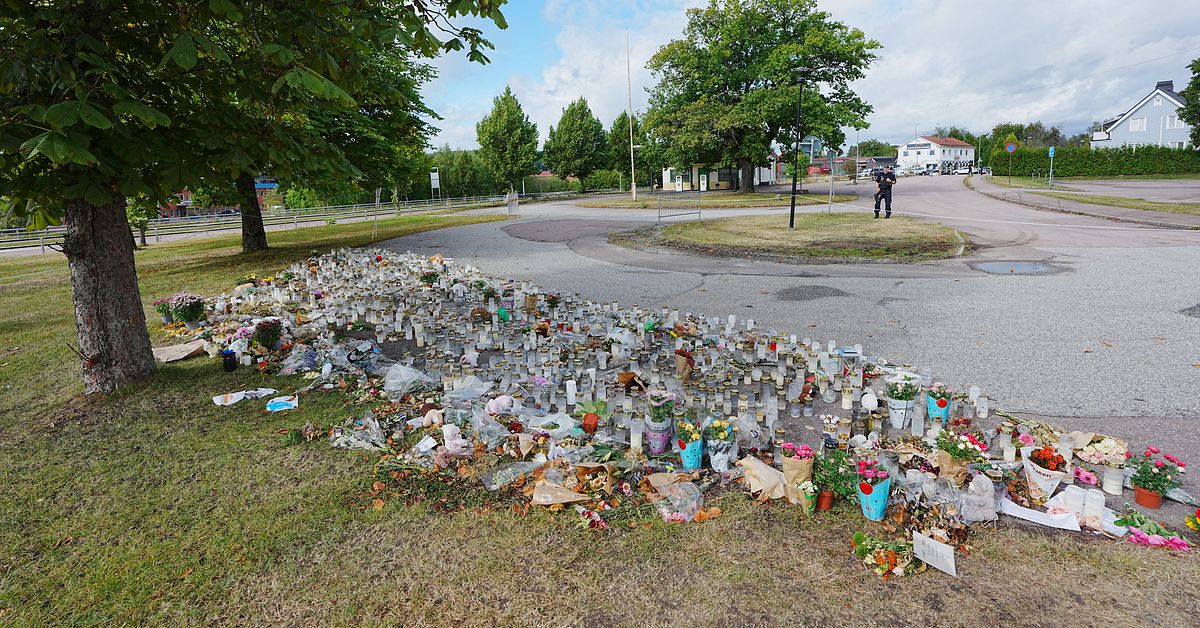 Arbetsmilj&ouml;verket utreder skold&aring;det i Fagersta