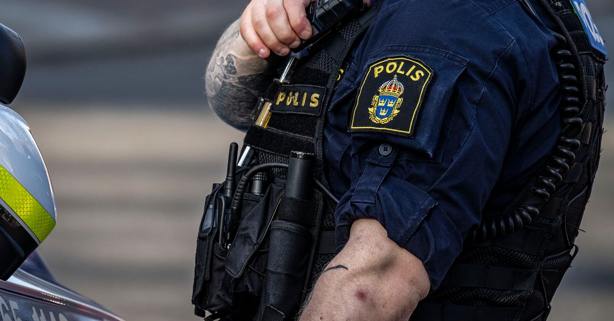 Massbeslag av stulna båtar och bilar – 57 gripna