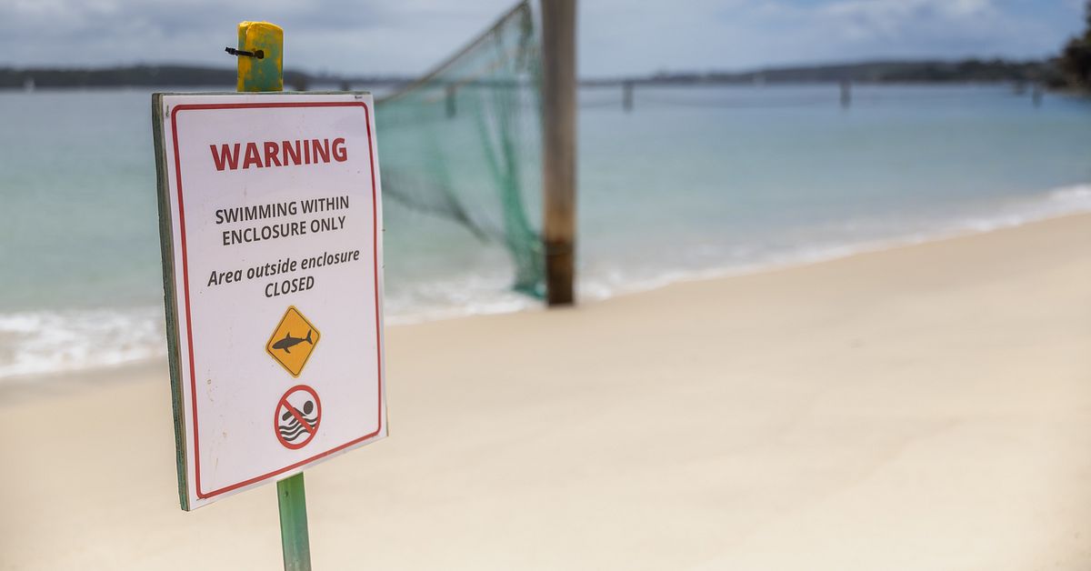 Pojke d&ouml;d i hajattack i Sydney