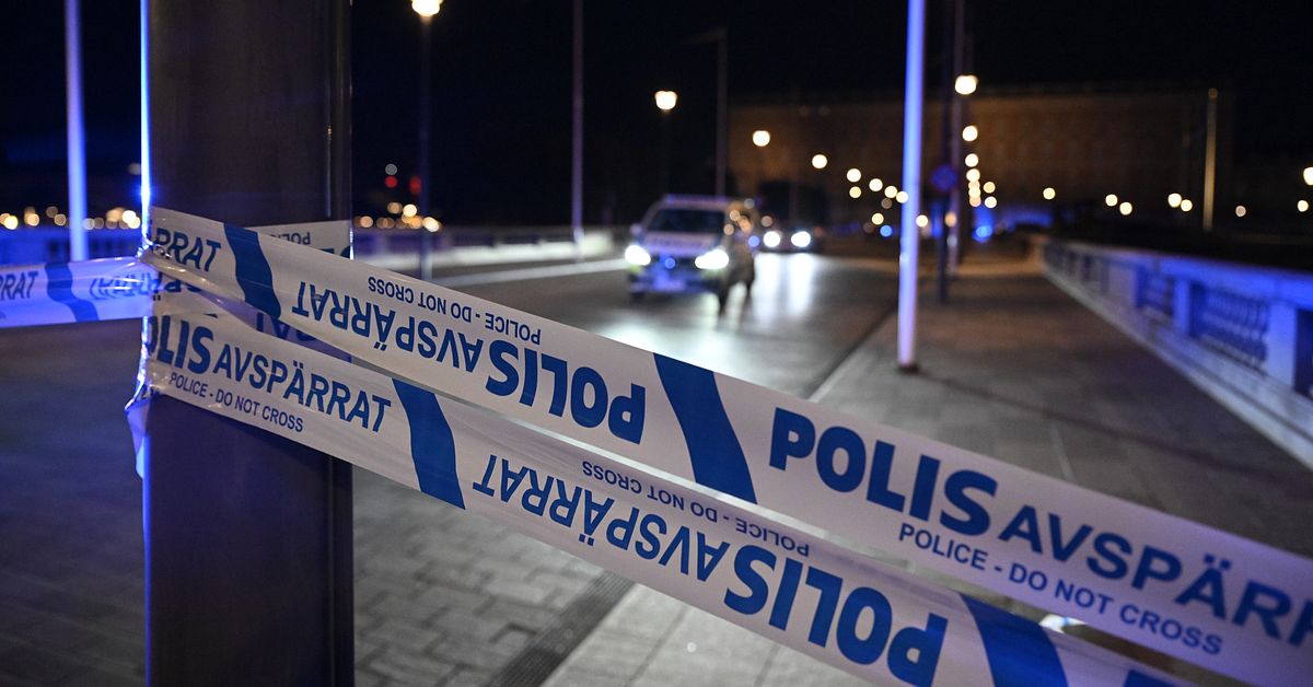 Skjutne knivmannen vid slottet har h&auml;ktats