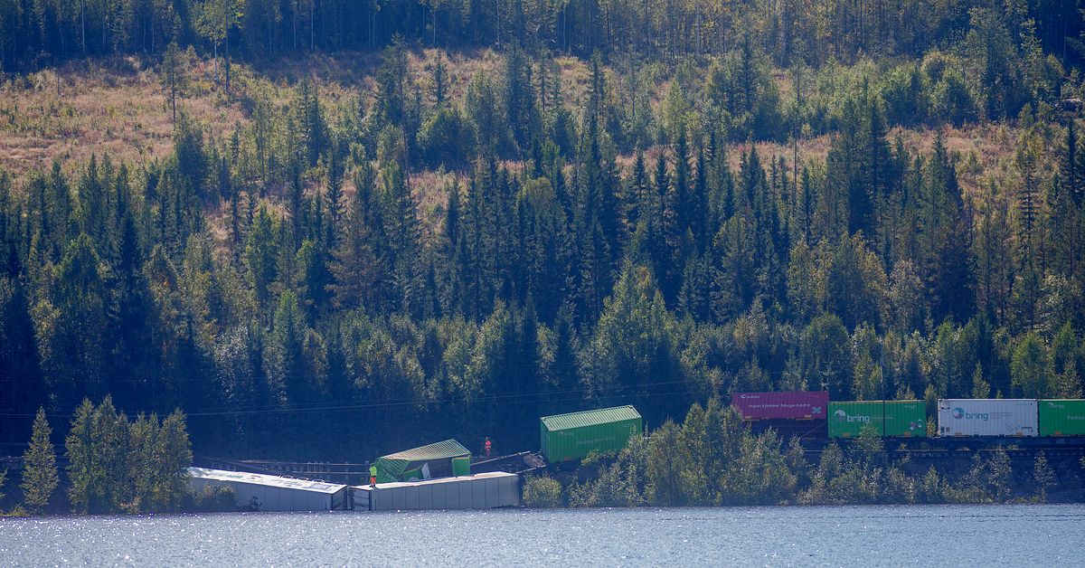 Larmet: Kalhyggen kan göra översvämningar värre