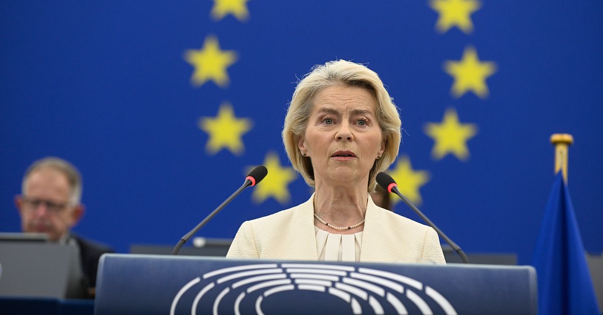 S&aring; vill EU stoppa sociala medier f&ouml;r barn