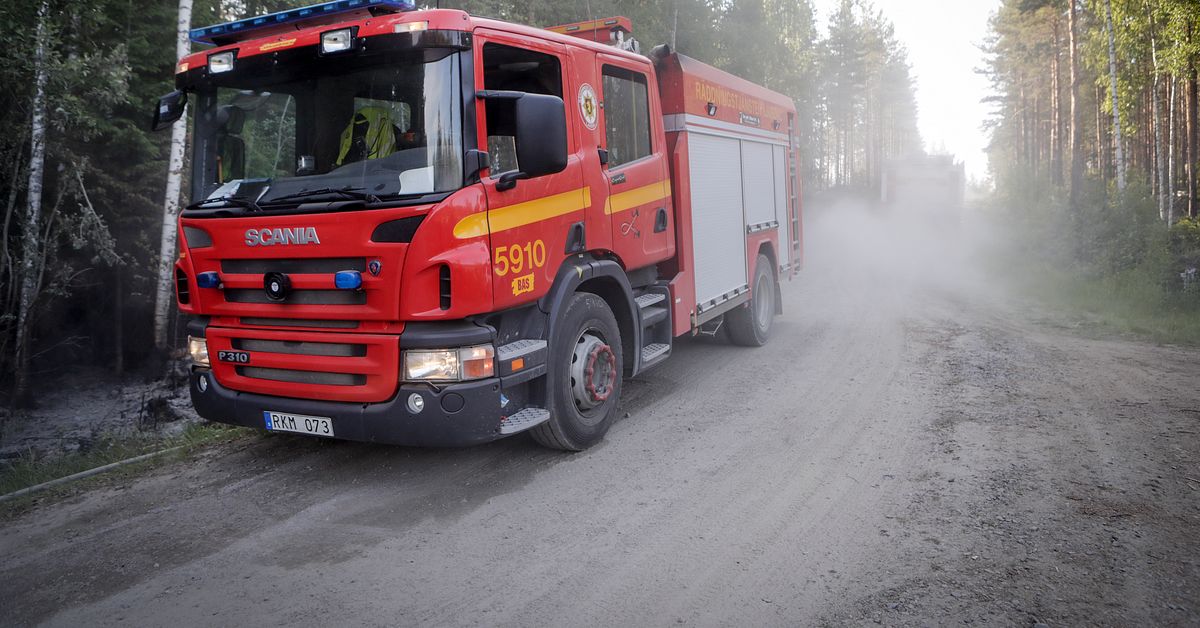 Mycket stor risk för skogsbränder