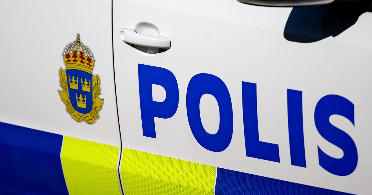 Polishunden Ymer d&ouml;d &ndash; skadades under insats