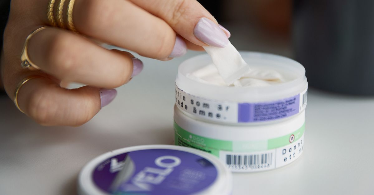 Dousa: Svenska regeringen st&aring;r upp f&ouml;r snuset