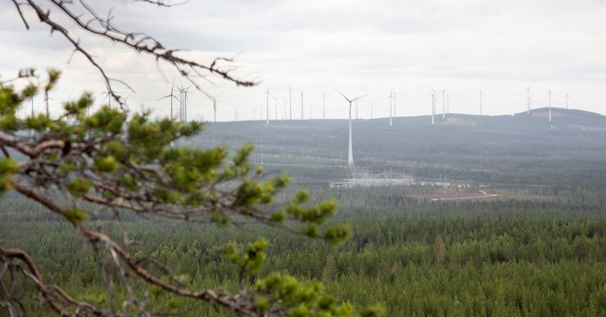 EU drar Sverige till domstol