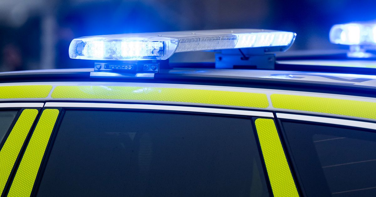 Kvinna misst&auml;nkt f&ouml;r mord i H&auml;rjedalen &ndash; man v&aring;rdades p&aring; sjukhus en vecka