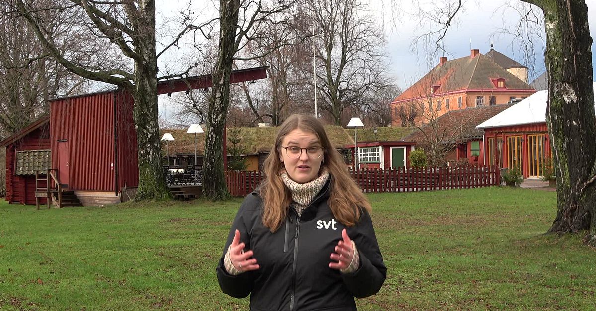 Restaurang kan få vite för högt ljud – FHM: Därför kan musik vara störande