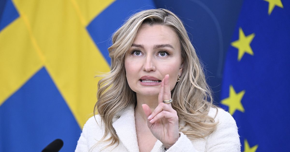 R&aring;varuanalytikerns varning: Brist p&aring; flygbr&auml;nsle bara f&ouml;rsta steget