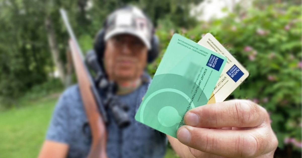 f-rre-l-ser-jaktkort-minskad-lgstam-en-av-orsakerna-svt-nyheter