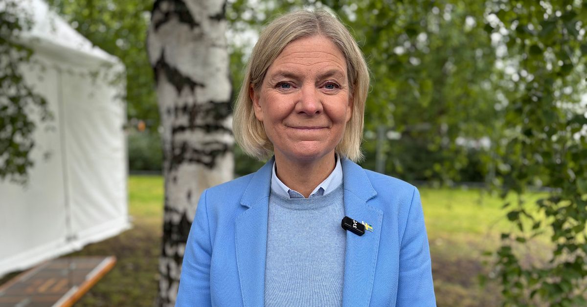 Andersson (S) vill se fler industrietableringar &ndash; lovar statligt st&ouml;d
