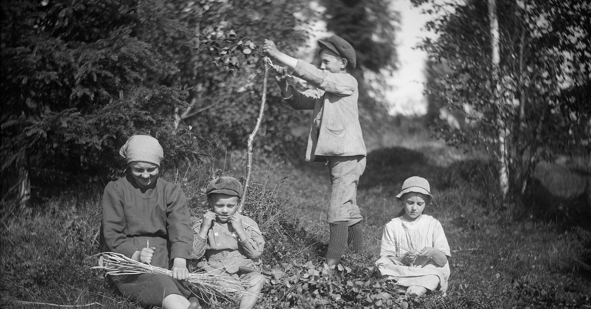 mets-suomalaisten-konferenssissa-huomioitiin-kansatieteilij-nils