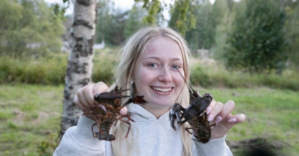 Premi&auml;r f&ouml;r kr&auml;ftfiske i R&aring;ne&aring; &ndash; Klara, 18: &rdquo;Mysigt&rdquo;