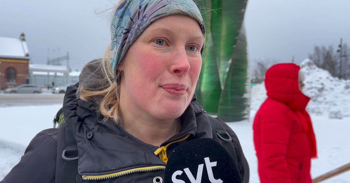 De vill rädda nattågen: ”Är ett så långt land – måste fungera”