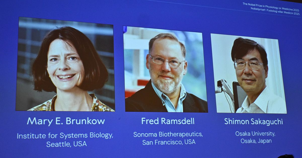 Mary E. Brunkow, Fred Ramsdell och Shimon Sakaguchi får Nobelpriset i medicin 2025