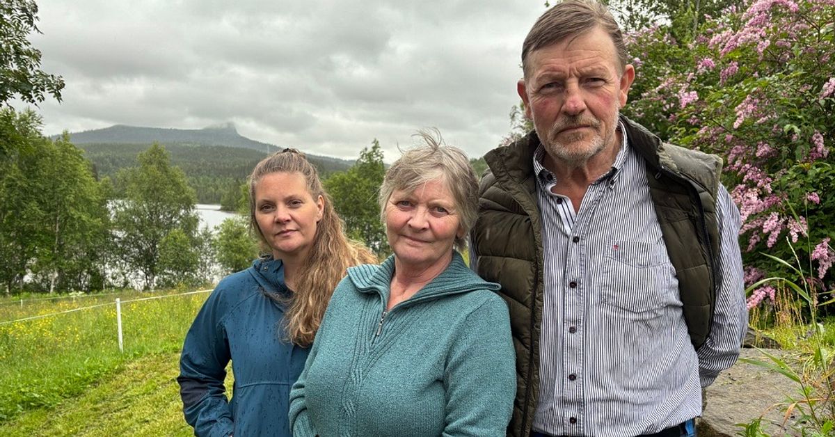Hyttstens om domen i Mark- och milj&ouml;&ouml;verdomstolen: R&auml;ttsskandal och katastrof
