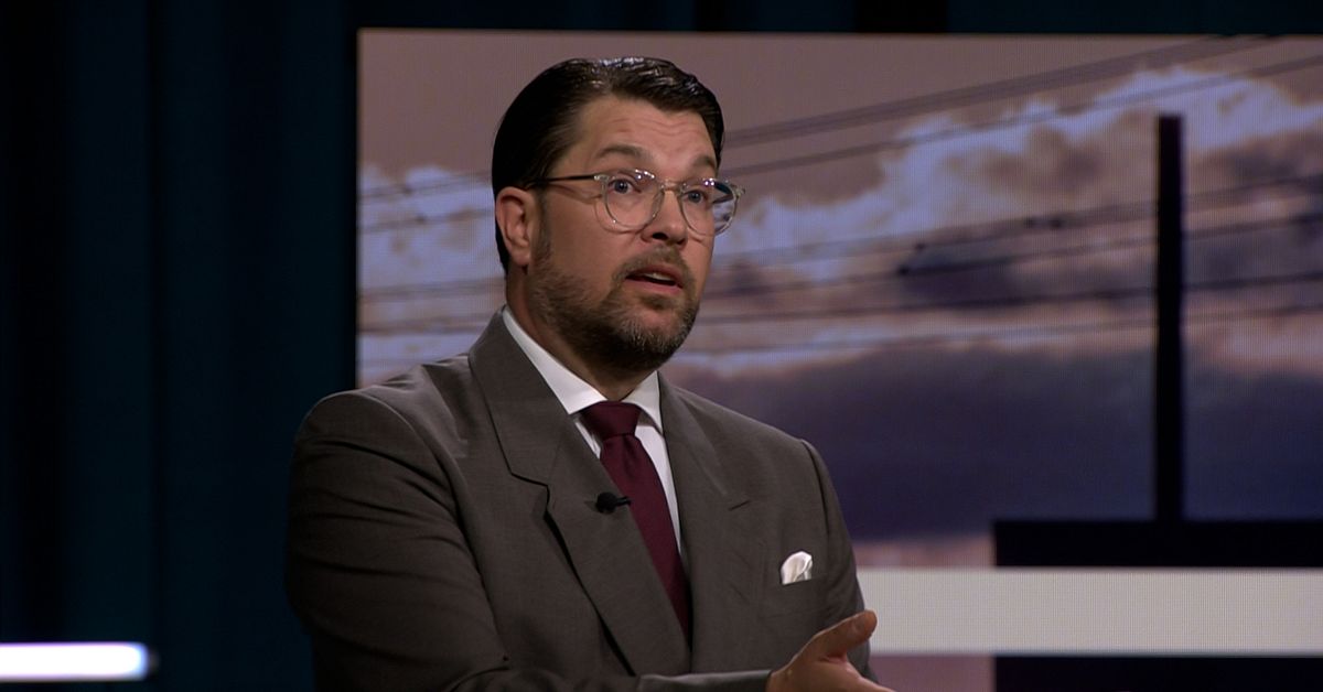&Aring;kesson: &rdquo;Jag &auml;r s&aring; tr&ouml;tt p&aring; vindkraftspopulismen&rdquo;