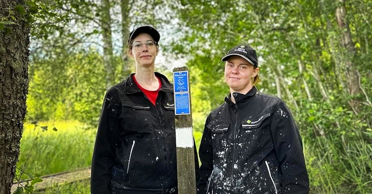 De sommarjobbar i värmländska skogarna – märker ut skyddade områden