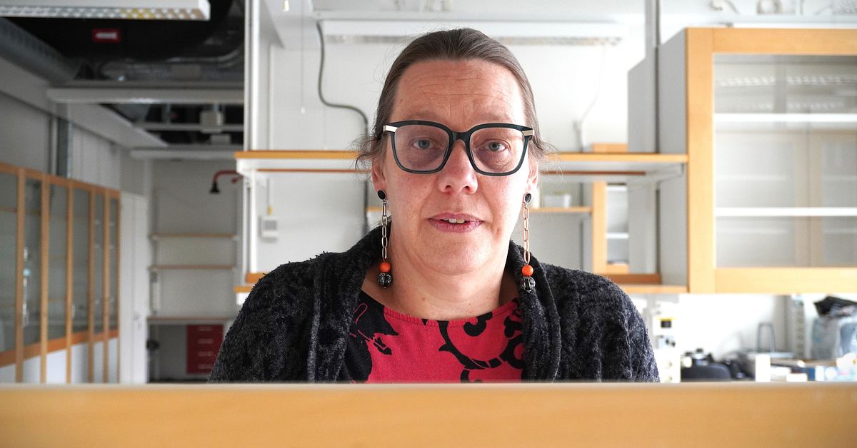 uppsala-universitet-pressat-ekonomiskt-tvingas-t-mma-lokaler-och
