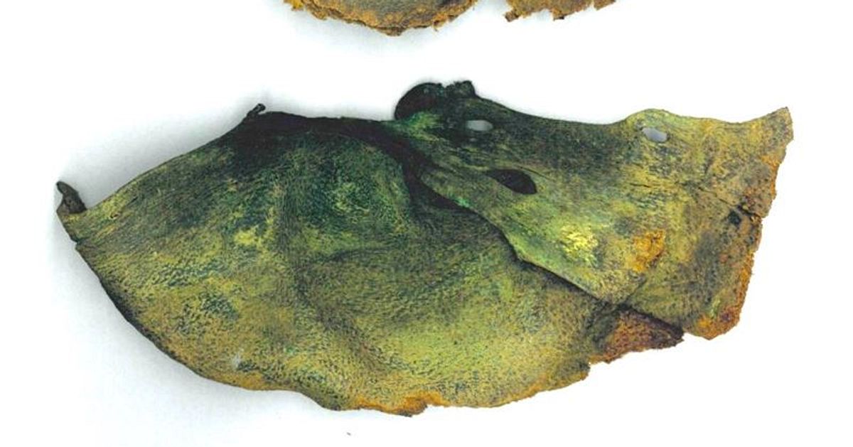 Sveriges &auml;ldsta sko hittad: Moderiktig allv&auml;dersdoja