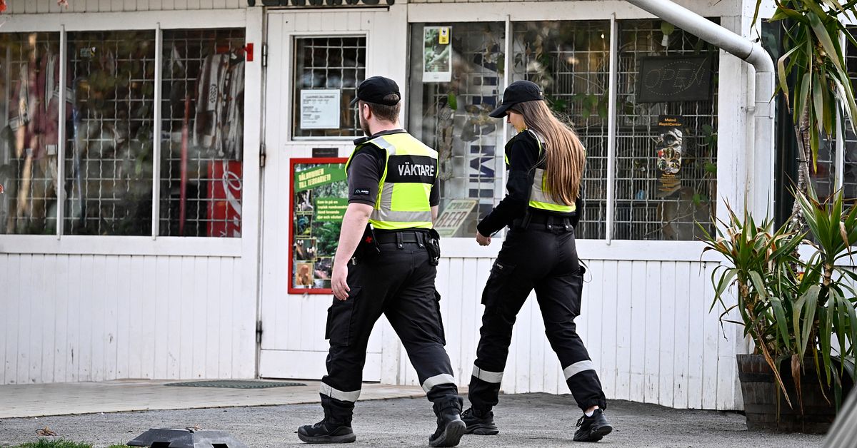Väktare på jakt efter misstänkt orm i Eurovision Village.