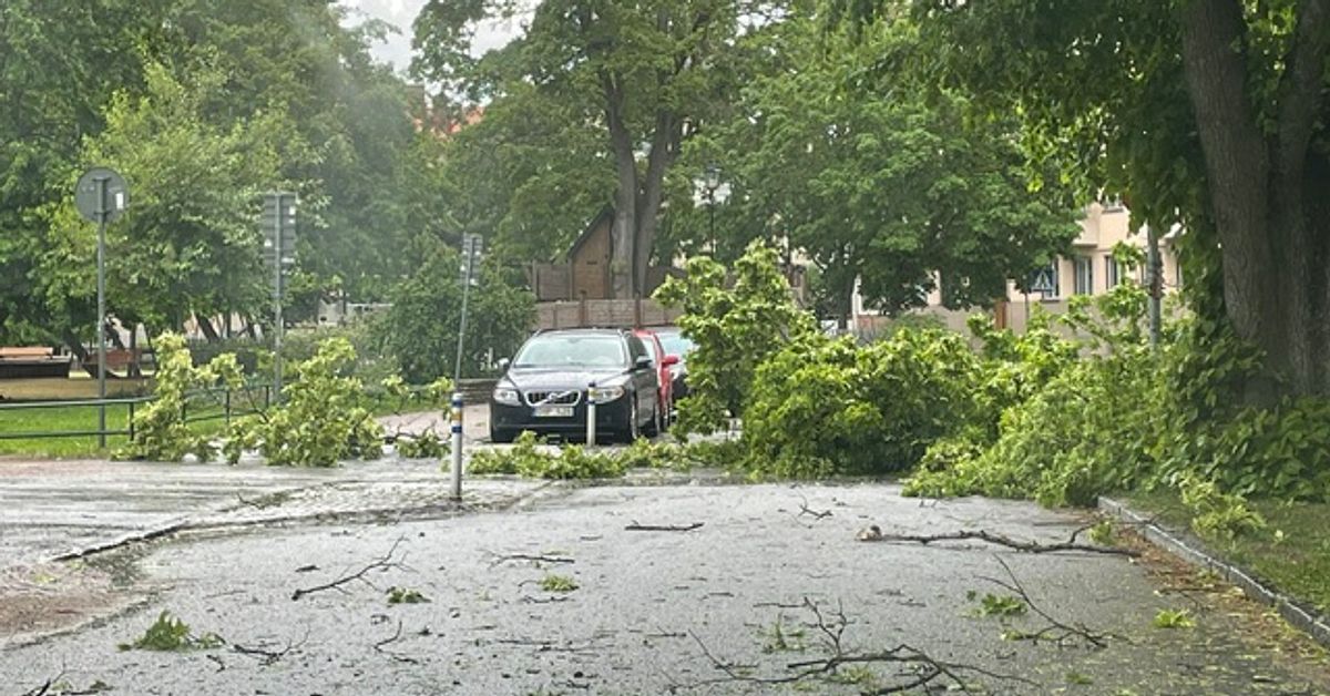 H&aring;rda vindar i Uppsala &ndash; hagel och nedfallna tr&auml;d