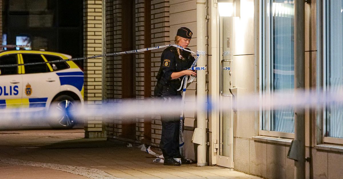 Skottlossning i Malm&ouml; &ndash; man d&ouml;d