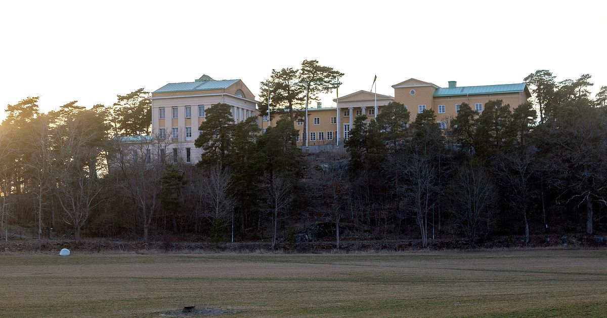 Grovt sexuellt &ouml;vergrepp utreds efter polisinsats p&aring; Sigtuna