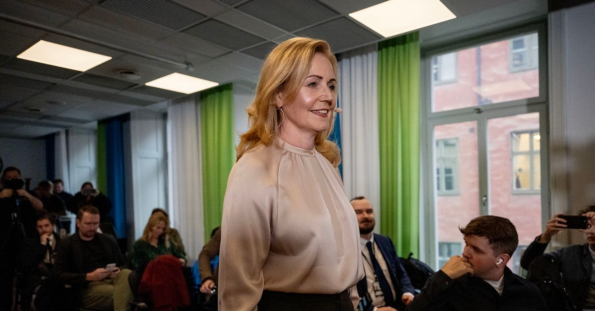 Analys: ”Tveksamt att väljarna kommer märka någon skillnad alls” | SVT ...