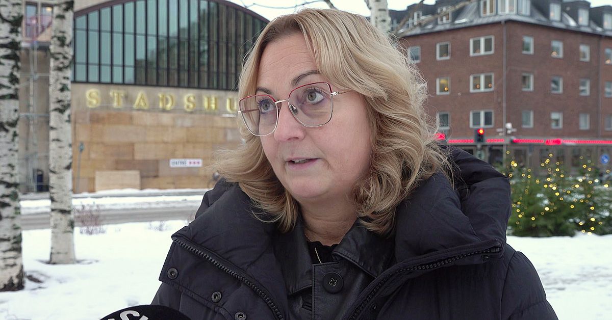 Efter hemlösa Helenas kritik – socialnämnden medger problem
