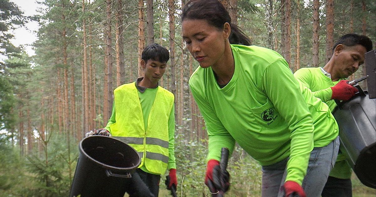 www.svt.se