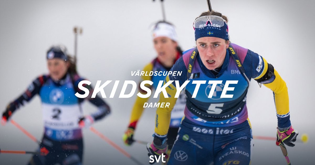 Ett besökarinlägg i 