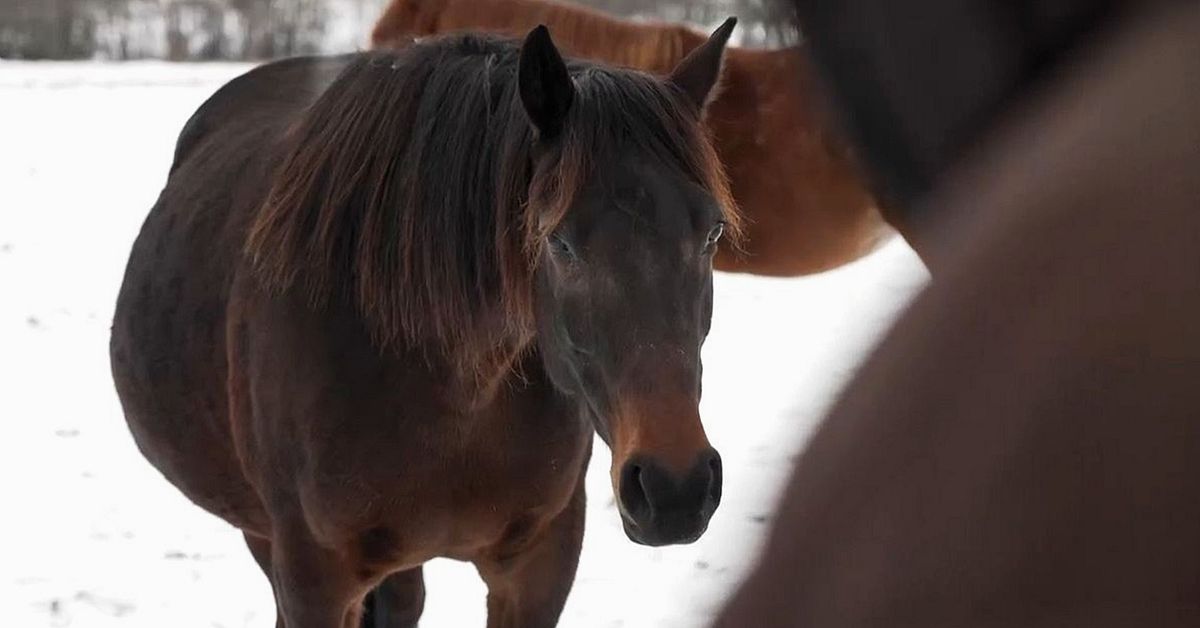 H&auml;r &auml;r branscherna i Sverige med b&auml;st &ndash; och s&auml;mst l&ouml;nsamhet